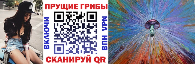 Купить где  Обь  Псилоцибиновые грибы MAGIC MUSHROOMS 